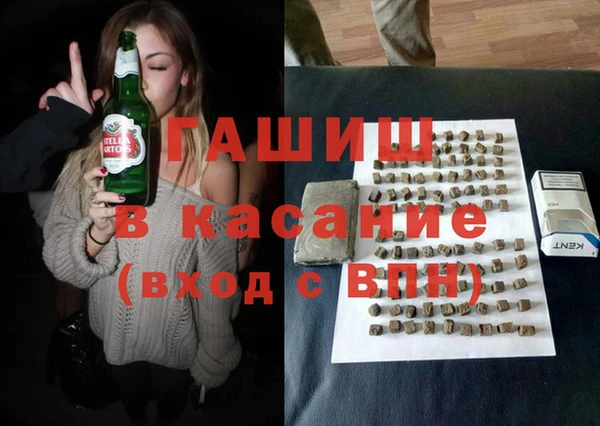 индика Бородино